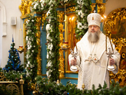 Глава Донской митрополии совершил Божественную литургию в храме Донского Старочеркасского Ефремовского мужского монастыря